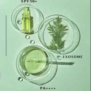 Nine Tails Exo-Hydro Capsule Brightening Protector SPF50+/PA++++ 50ml