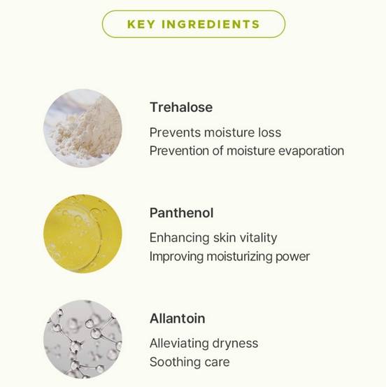 Eyenlip Morning Booster Cream 25g