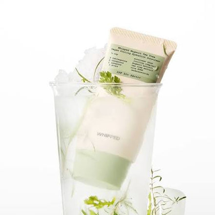 WHIPPED Mugwort Tea Tree Vegan Cooling Hydration Sunscreen 50ml SPF50+ PA++++